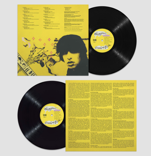 Adam Green - Friends of Mine (20th Anniversary) - Double Vinyl